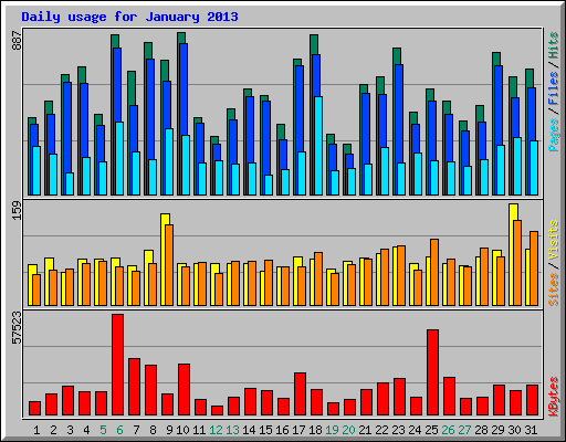 Daily usage for January 2013