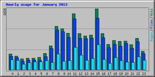 Hourly usage for January 2013