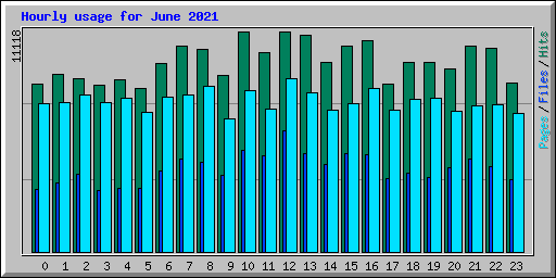 Hourly usage for June 2021